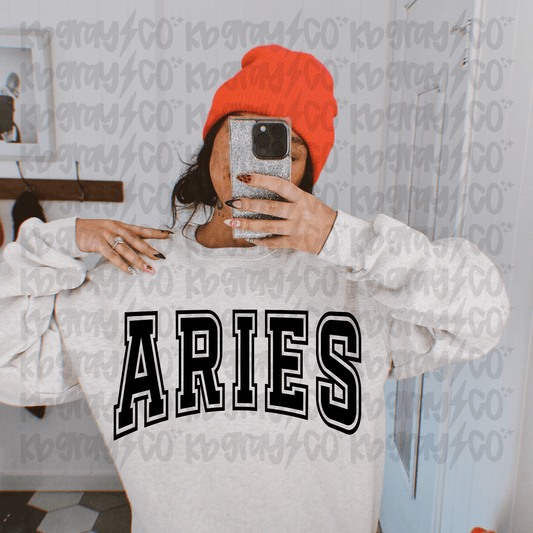 Zodiac Signs - Aries
