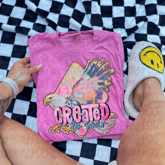 Created to soar