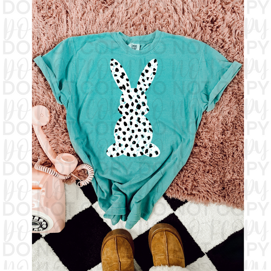 Dots bunny