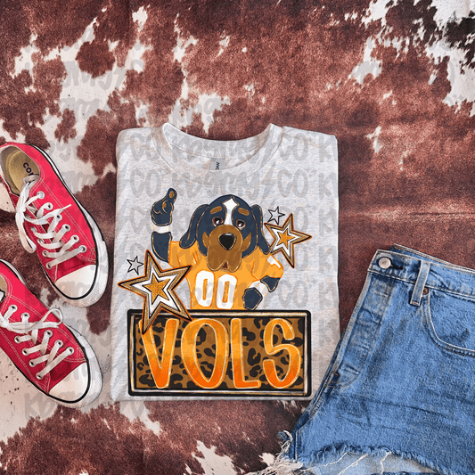 VOLS  - infant toddler and youth