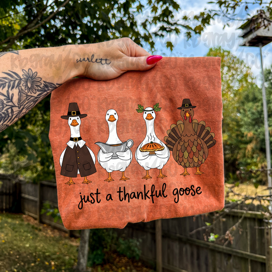 Just a thankful goose